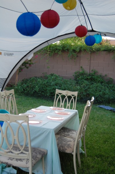 First Tomato Party 006