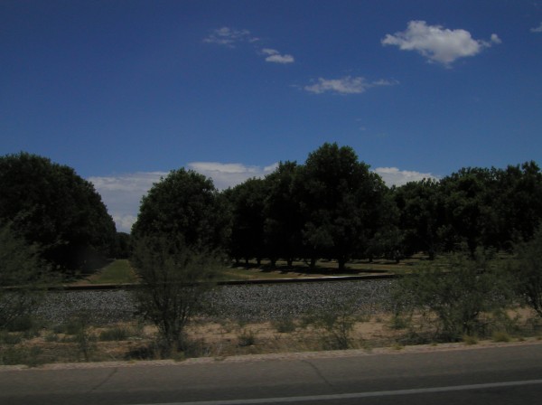 pecan grove