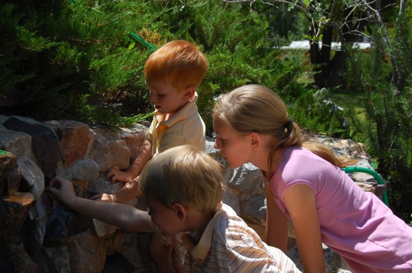 Enchantment at the Frog Pond