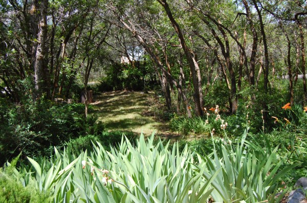Secret Garden
