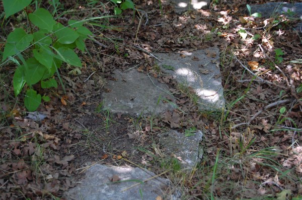Pathway