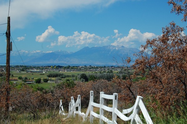 Timpanogos