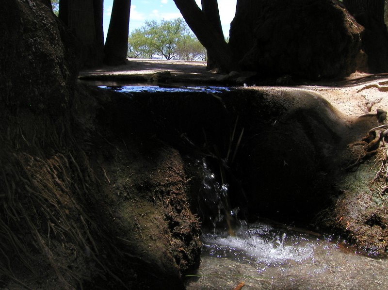 Agua Caliente 023