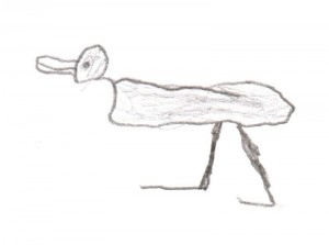 Timothy duck