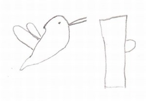 Timothy hummingbird