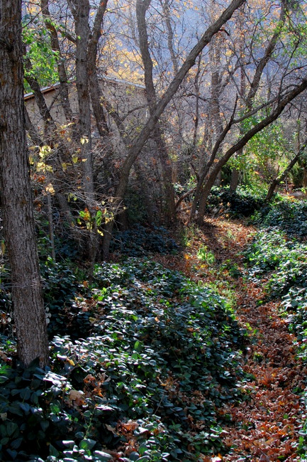 1-DSC_2347