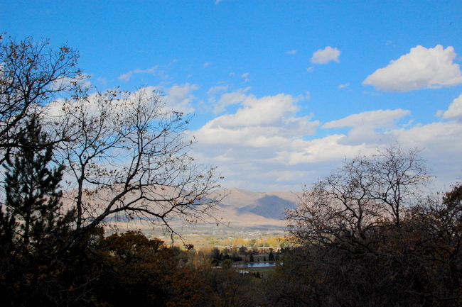 1-DSC_2363