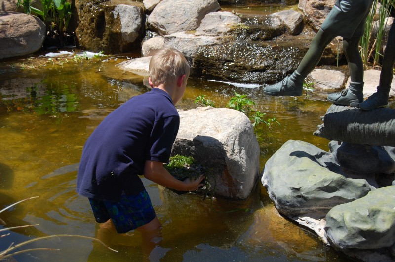 pond pictures 029.jpg